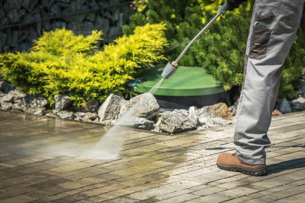 Best Oil Spill Cleanup  in Mounds View, MN