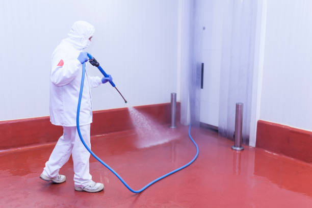 Best Dumpster Area Cleaning  in Mounds View, MN